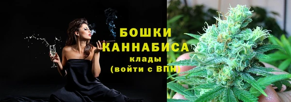 ГАЛЛЮЦИНОГЕННЫЕ ГРИБЫ Покров