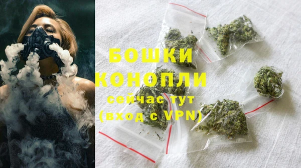 гидропоника Богданович