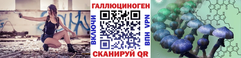 Псилоцибиновые грибы Psilocybe  Бирюсинск 